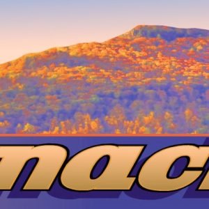 The Pinnacle Sticker