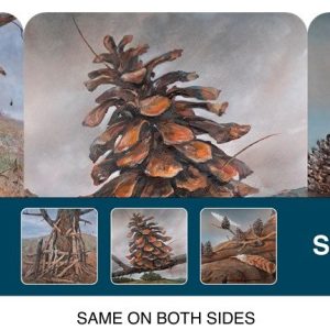 Set of Six Coasters 2026 Pinecone Edition